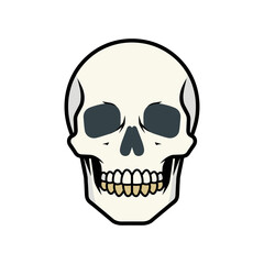 Obraz premium Human skull anatomical vector graphic illustration with skeleton illustration creature