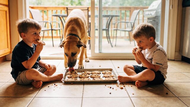 Delighted laughter fills the cozy kitchen as two boys enjoy warm cookies, sharing bites with their eager dog. Sunshine streams through the open door, creating a joyful scene.