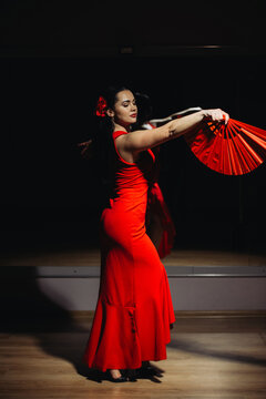 Elegant dancer performing flamenco with red fan