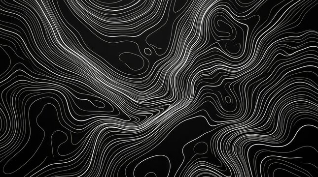 Black and White Abstract Contour Line Art Design