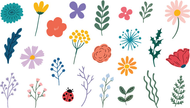 Hand Drawn Floral Botanical Elements Collection Flat Vector Illustration White Background