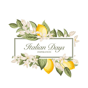 Lemon vintage frame. Italian vector background. Fresh lemon and green