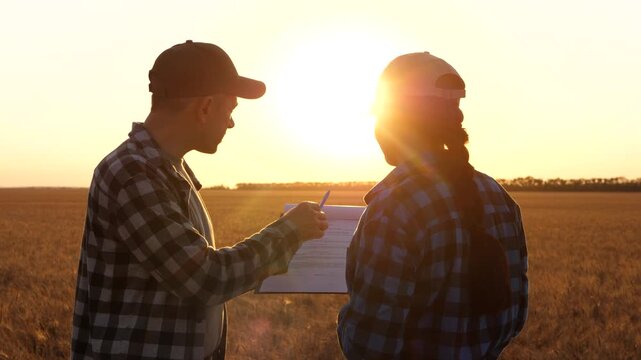 Male and female farmers reviewing document in wheat field at sunset, symbolizing sustainable agriculture and eco farming. Concept of responsible land use, environmental care and modern rural lifestyle