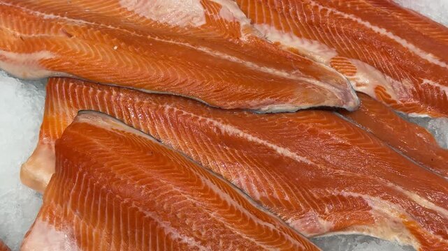 Freshly Cured Salmon Fillets Now Available and Ready for Cooking Delicious Meals. These delicious cured salmon fillets are beautifully displaying their vibrant color and achieving perfect texture