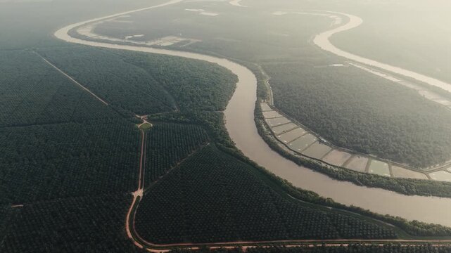 Aerial view river forest