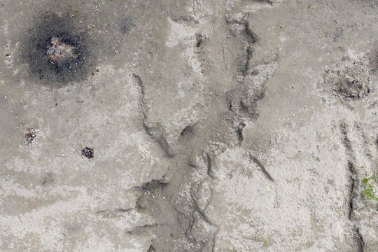 Aerial View of Muddy Riverbank With Campfire Scars on the Fraser River in British Columbia