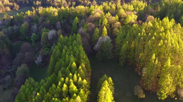 Wiosna w g&oacute;rach, Małopolska, widok z powietrza
