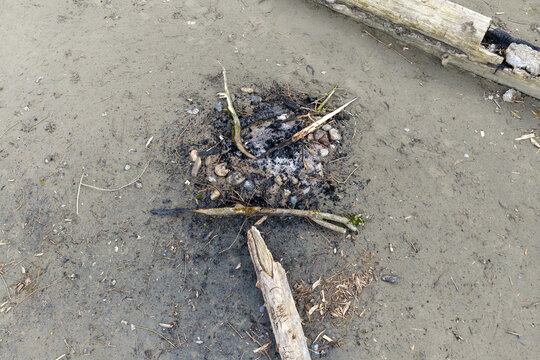 Charred Campfire and Driftwood on Sandy Fraser River Shoreline in British Columbia, Canada