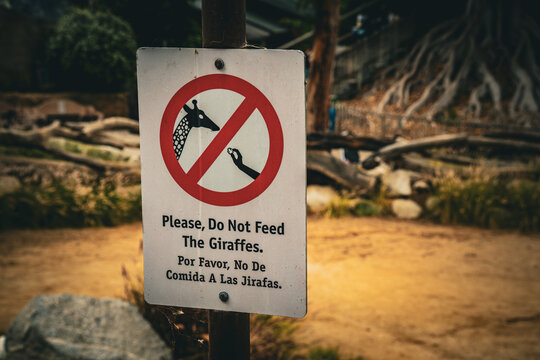 Zoo sign warns visitors not to feed the giraffes, emphasizing animal welfare