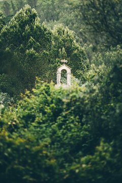 Telephoto view of a small historic bell tower rising from dense green forest, framed by blurred foliage, with serene rural atmosphere and selective focus
