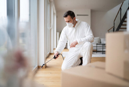 Male pest control worker spraying insecticide inside modern home