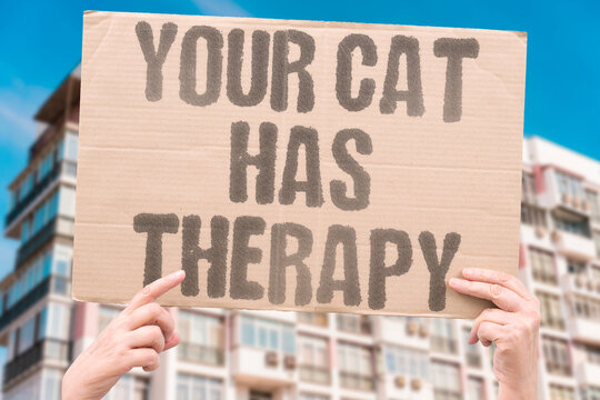 "Your Cat Has Therapy" Pet mental health services reflect extreme humanization of animals. CAT. THERAPY. MENTAL. HUMANIZE. PET.