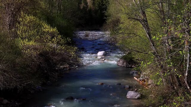 the famous landwasser river in graubuenden switzerland 4k video