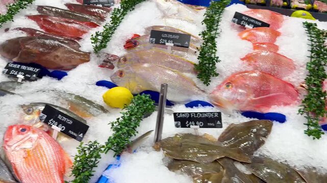 Fresh seafood display with various whole fish on ice at local fish market including snapper and trout.