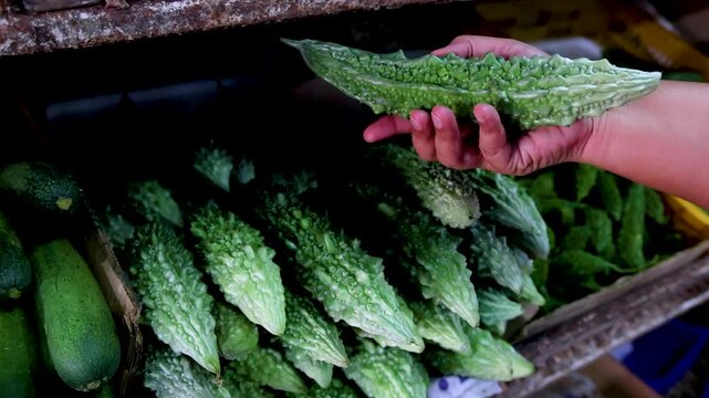 Customer choosing fresh bitter melon at local vegetable market stall in slow motion.