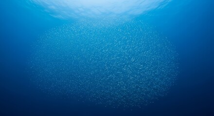 Naklejka premium A Massive School of Small Fish Swimming Together in the Deep Blue Ocean Under Sunlight