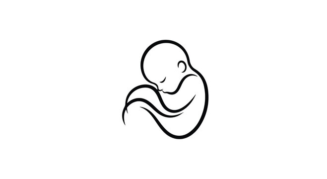 Simple line drawing of a fetus in a curled up sleeping position, illustrating a human baby in the womb