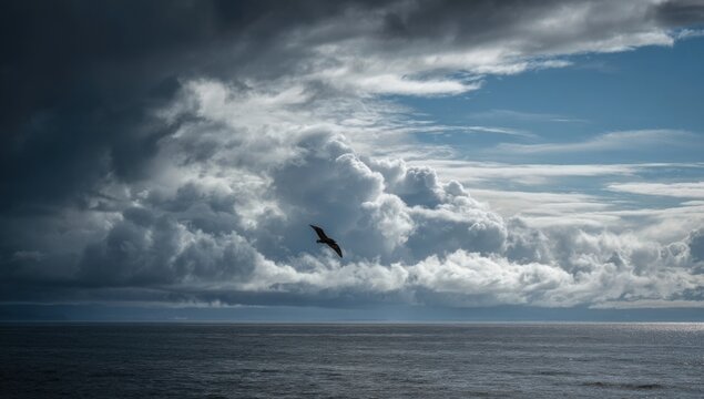 Dramatic Storm Clouds Over Ocean with Bird Silhouette.