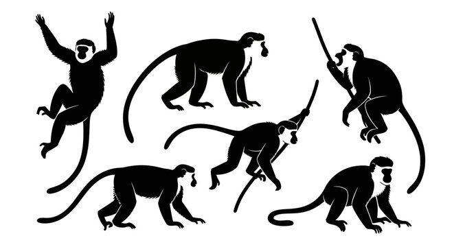 Set of Monkey Silhouettes in Various Poses