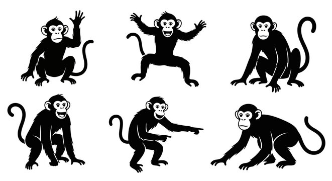 Set of Monkey Silhouettes in Various Poses
