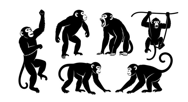 Set of Black Silhouette Monkeys in Various Poses