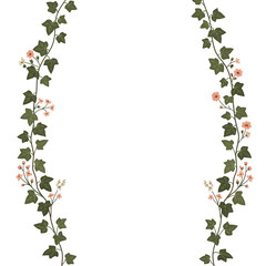 Fototapeta premium Green ivy vines with small pink flowers on a white background.