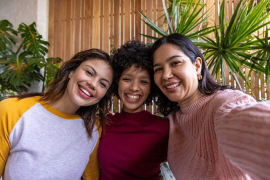 Female friends smiling and taking selfie at cozy cafe with smartphone, pink sweater, potted plants