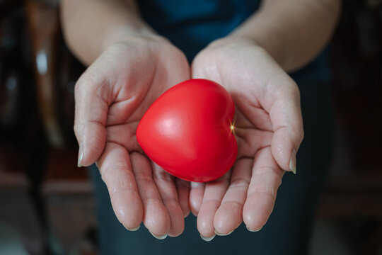 Hands holding  Red Heart, health care,organ donation, love, wellbing, wold mental health day, world heart day, represent love, family insurance, heart heath