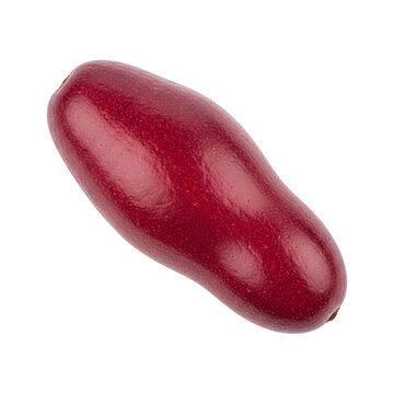 Closeup of a vibrant ripe and delicious red cornus fruit.