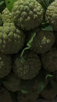 Vertical screen Dense Cluster Of Sweetsop Annona At Vietnamese Street Market, Evening Shadows And Warm Stall Lights, Vendor Weighs Fruits While Shoppers Browse, Textured Green Segments