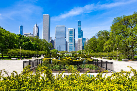 Chicago Skyline Panorama with North Rose Garden Illinois