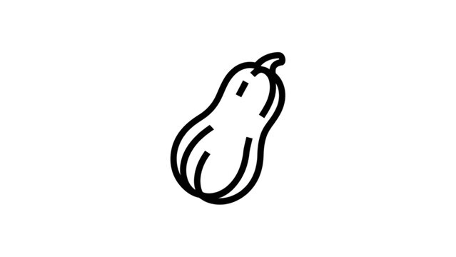 Minimalist line drawing of a green zucchini or courgette vegetable Vector