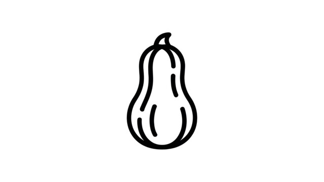 Minimalist line drawing of a green squash or zucchini vegetable Vector