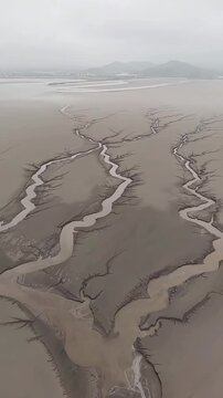Stunning aerial footage of natural tidal tree patterns formed by receding tides on the mudflats of Qiantang River China