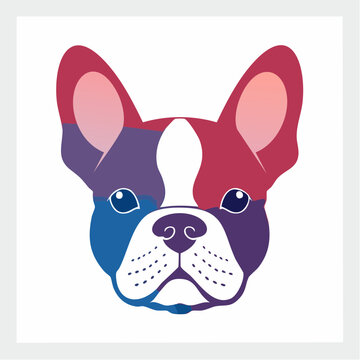 French Bulldog Face with Bisexual Pride Colors
