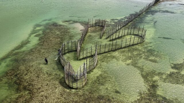 Fish trap fishing is a traditional artisanal technique in which fixed structures take advantage of the movement of the tides to catch fish - Ipioca Beach, Macei&oacute;, Alagoas, Brazil - 