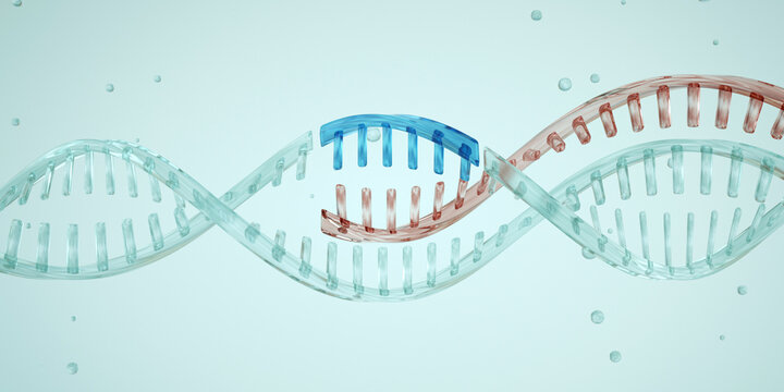 Gain-of-function research. A section of DNA is breaking apart. CRISPR-Cas9. Genetic medicine. Photo stock