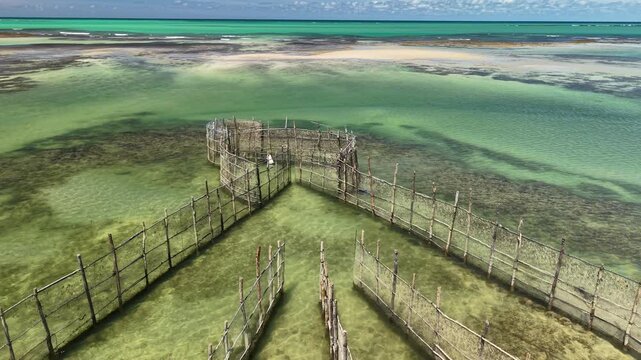 Fish trap fishing is a traditional artisanal technique in which fixed structures take advantage of the movement of the tides to catch fish - Ipioca Beach, Macei&oacute;, Alagoas, Brazil - 