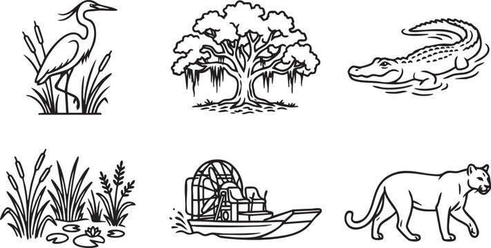 Florida Everglades Wetland Ecosystem and Wildlife Line Icons