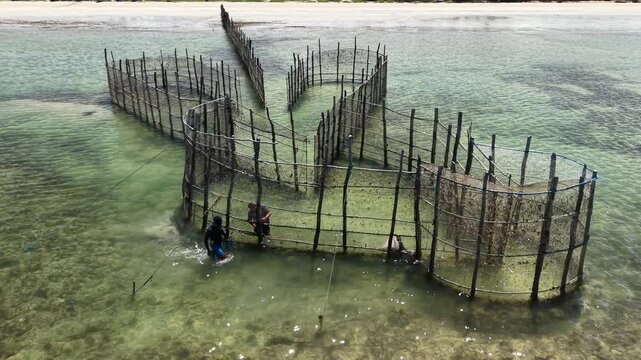 Fish trap fishing is a traditional artisanal technique in which fixed structures take advantage of the movement of the tides to catch fish - Ipioca Beach, Macei&oacute;, Alagoas, Brazil - 