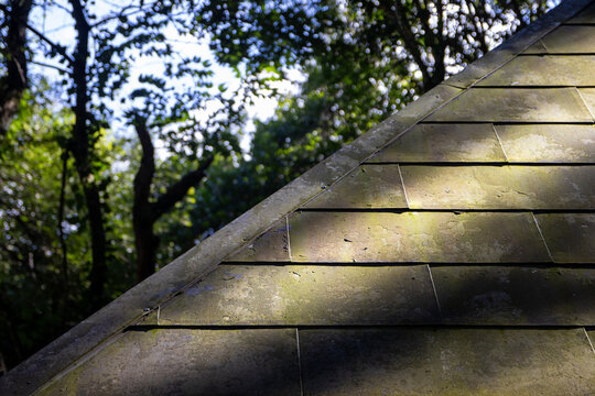 Close-up of an aged shingle roof with mossy discoloration and sunlight patches photographed against a blurred wooded background.