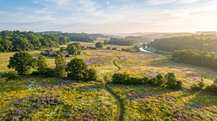 Obraz premium Aerial view of a serene countryside landscape with a winding path through a field of wildflowers