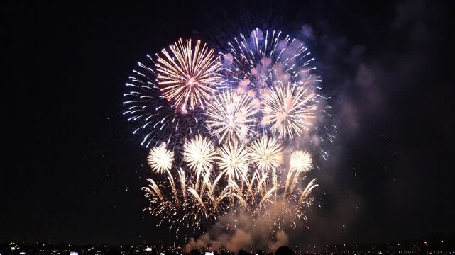 Spectacular Fireworks Display Illuminates the Night Sky with Vibrant Colors.