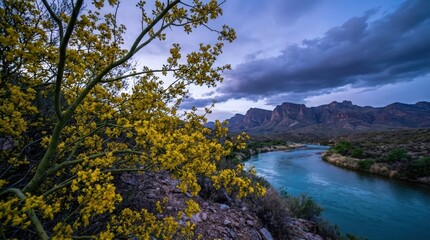 Obraz premium serene landscape with yellow palo verde tree overlooking blue river and rocky mountains