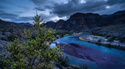 Naklejka premium dramatic desert river winding through rugged canyon landscape under stormy sky