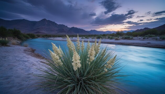 serene desert river landscape with blooming beargrass at dusk