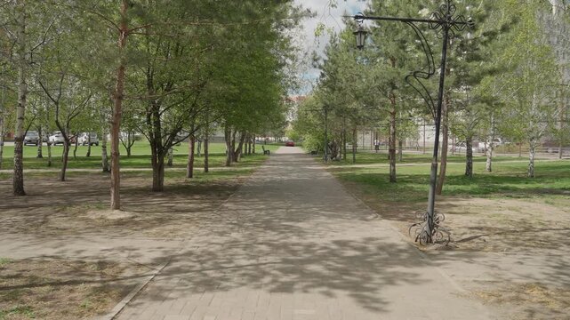 Tree lined urban park pathway framed by birch trees, gravel footpath stretching toward distant residential skyline, scattered lampposts casting dappled shadows, peaceful summer mood with green canopy