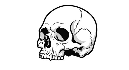Obraz premium Realistic black and white illustration of a human skull showing detailed anatomy and shadows on a plain white background.