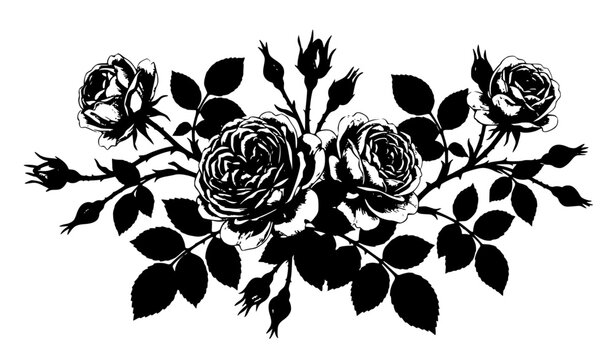 Hand drawn vintage roses set with botanical gouache illustration flowers and leaves vector isolated on white background