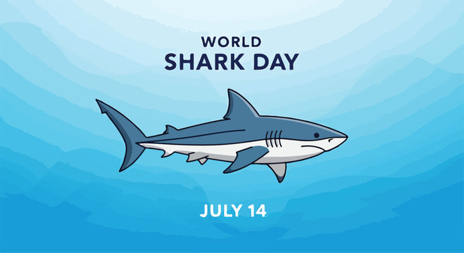 A blue and white shark on a gradient blue background